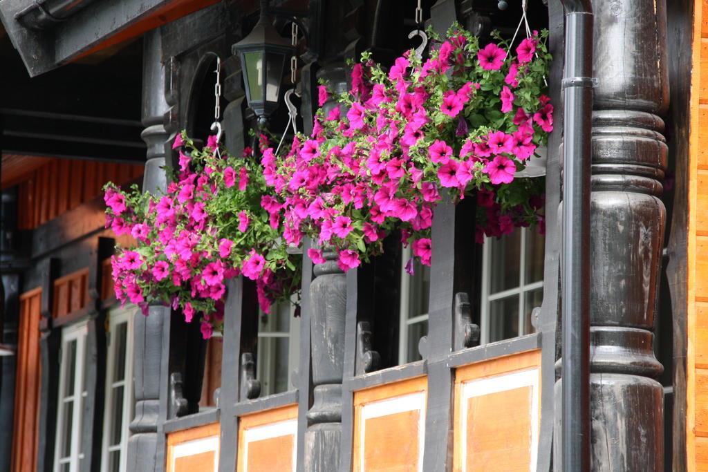 Solvgarden Cottages Rysstad Esterno foto